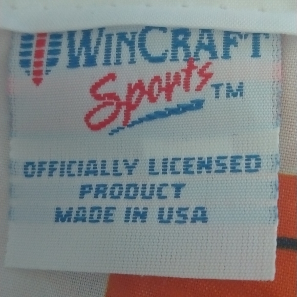 MLB All STAR GAME DETROIT TIGER banner July 12, 2005 - Picture 2 of 2